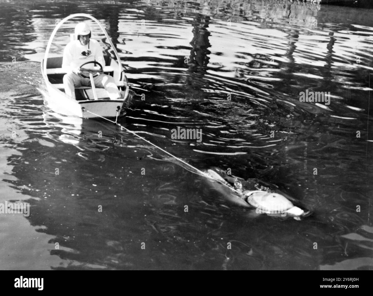 Marvin white Black and White Stock Photos Images Alamy Marvin white Black and White Stock Photos Images Alamy