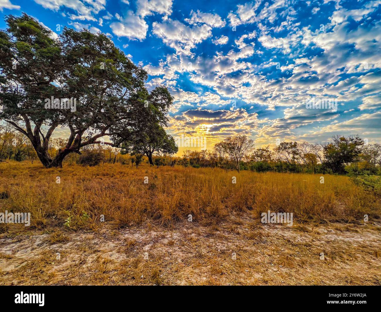 African hi-res stock photography and images - Alamy