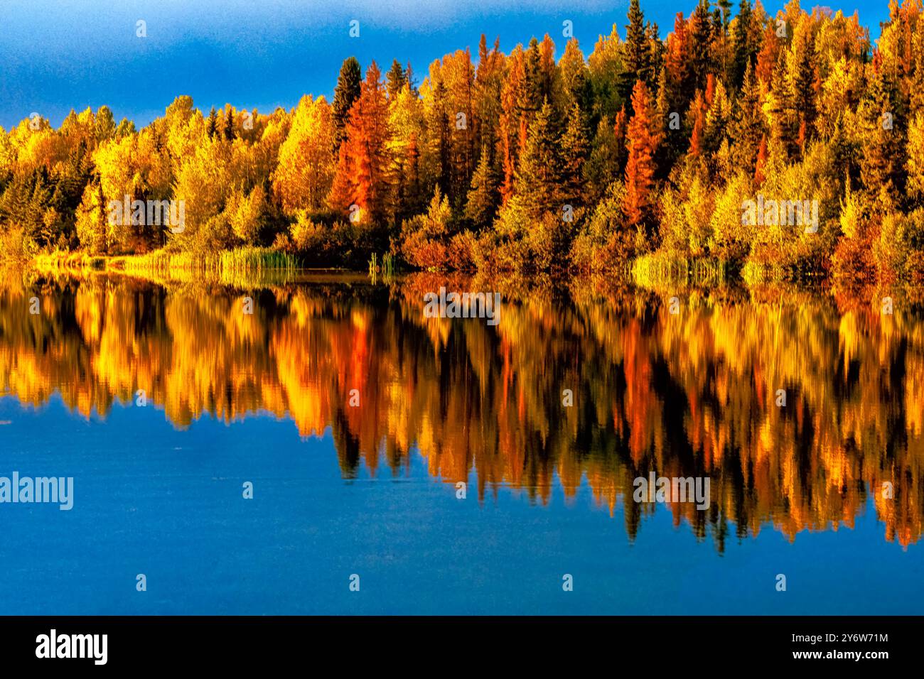 Reflection of autumn colors on 6 Mile Lake at Joint Base Elmendorf-Richardson in Alaska Stock Photo