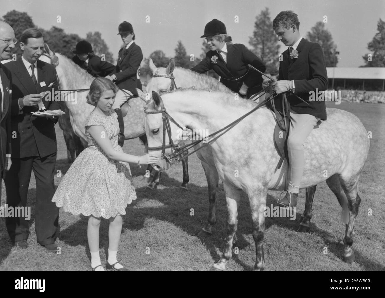 HORSE SHOWS PRINCESS ANNE PATS SEAGULL ROYAL WINDSOR   13 MAY 1961 Stock Photo