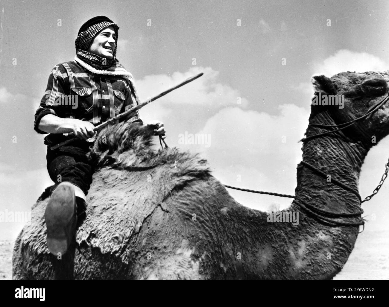 HE FORSOOK SHAKESPEARE FOR CAMEL Amman, Jordan, Middle East : Learning how to ride, and stay on, a camel is British actor Peter O'Toole, who has temporarily dropped Shakespeare to play the title part in the multi-million dollar epic, Lawrence of Arabia, based on Lawrence's role in the Arab revolt against Ottoman Turkey. Filming starts in the desert south of Amman sometime next month.  For the last six weeks, O'Toole has spent most of his time at Jordan's port town of Aqaba learing to ride a camel. Before he came to Jordan, he admitted 'I hadn't ridden anything. I'd been on a horse but you coul Stock Photo