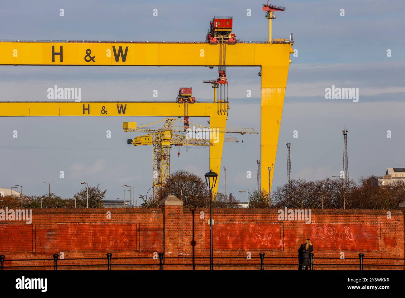 Female pedestrian on banks or River Lagan with Yellow Belfast shipyard cranes on Belfast skyline at Harland & Wolff shipyard in background. Stock Photo