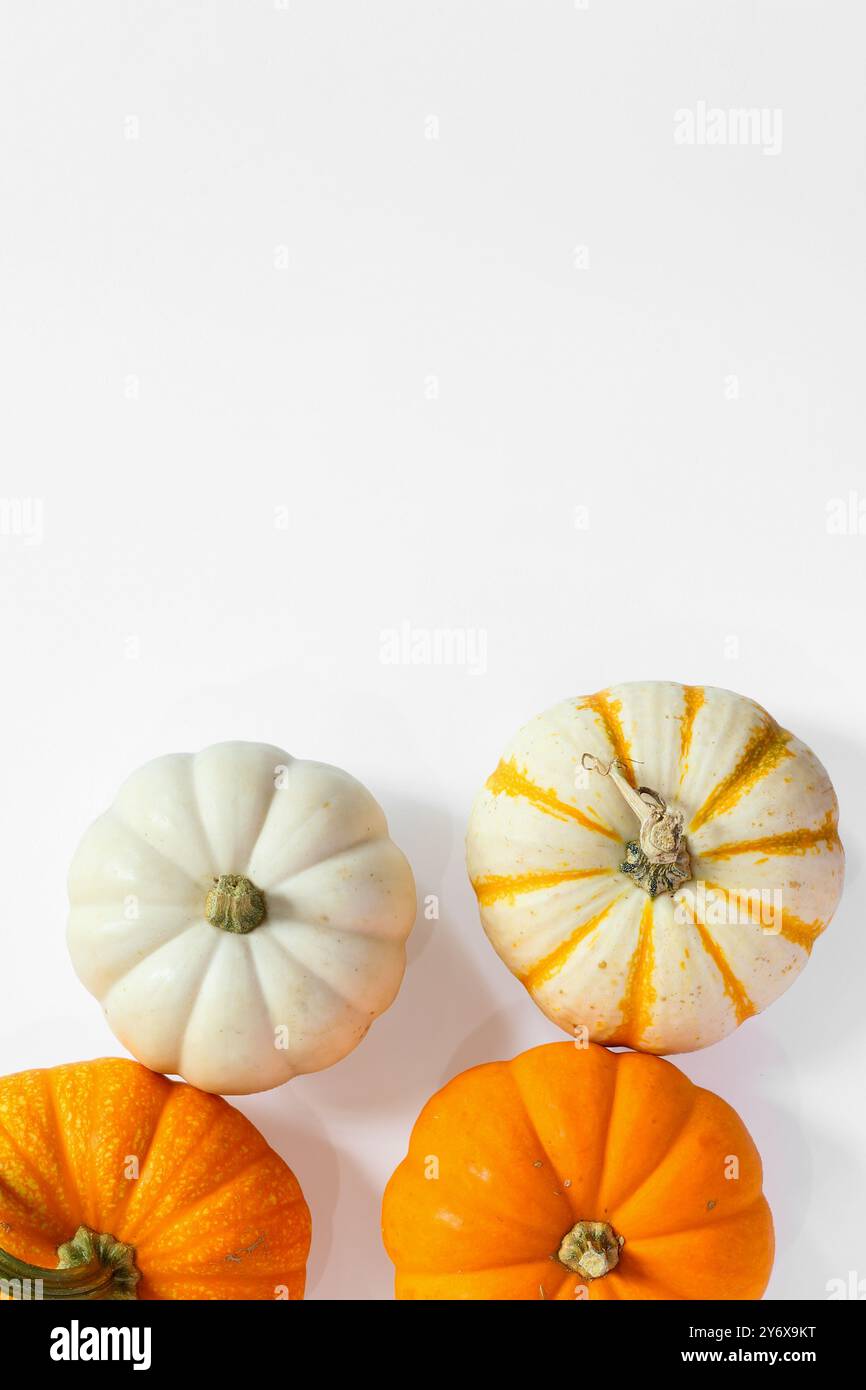 Vertical image of pumpkins on white background Stock Photo - Alamy