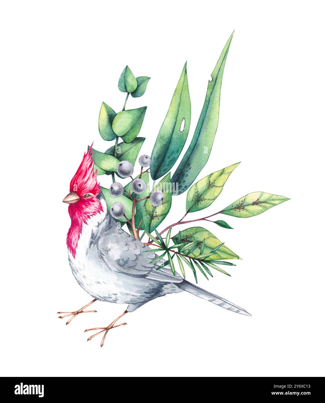 Watercolor flowers and birds illustration collection Stock Photo - Alamy