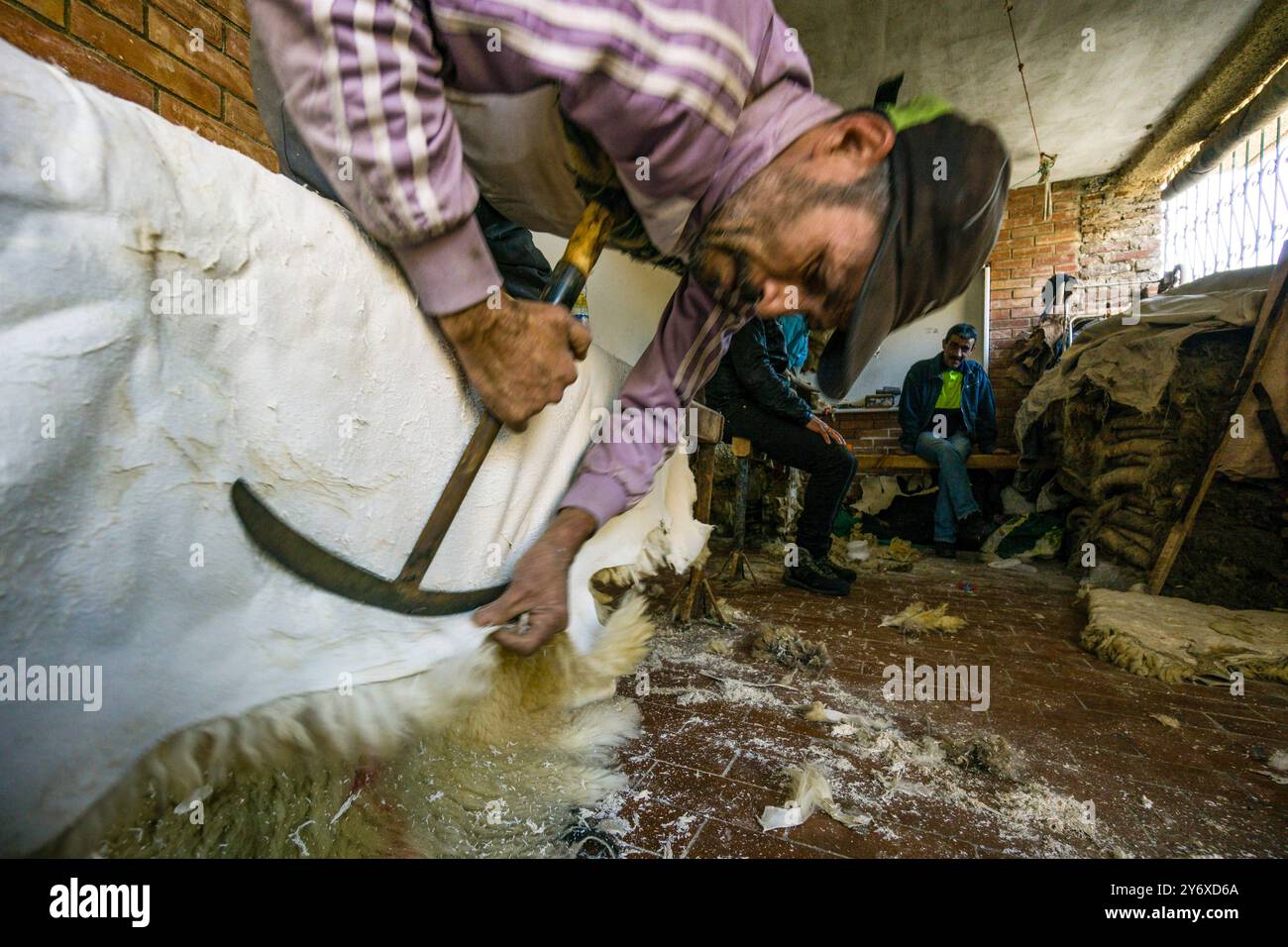 scraping and smoothing of leather, tenetia, Medina de Tetuan , world heritage site, Morocco, north of Africa, African continent. Stock Photo