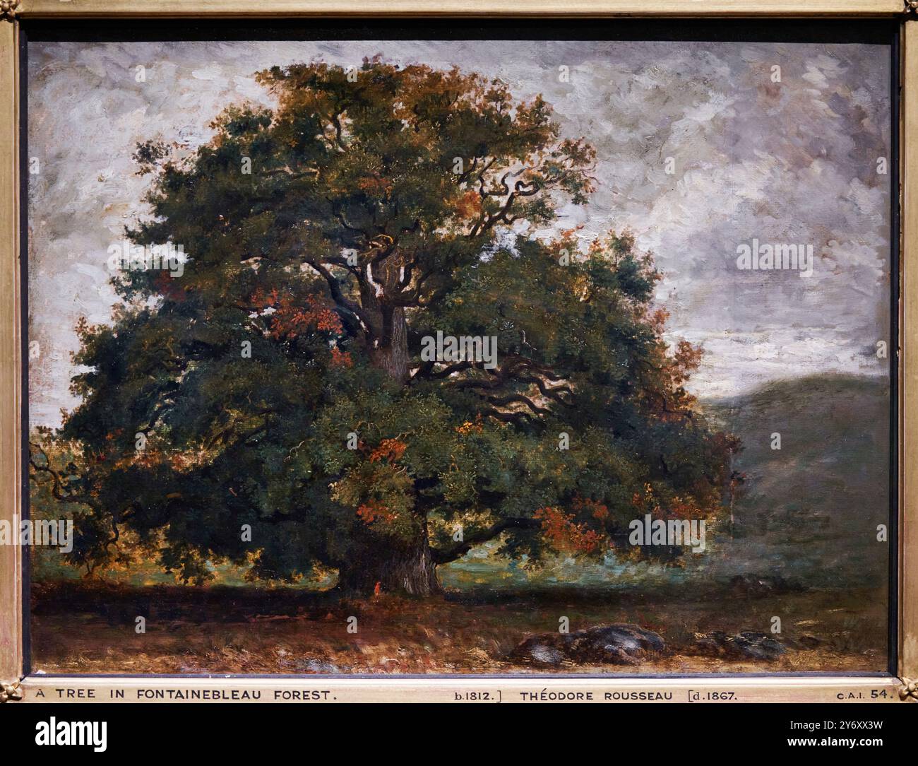 Fontainebleau france forest hi-res stock photography and images