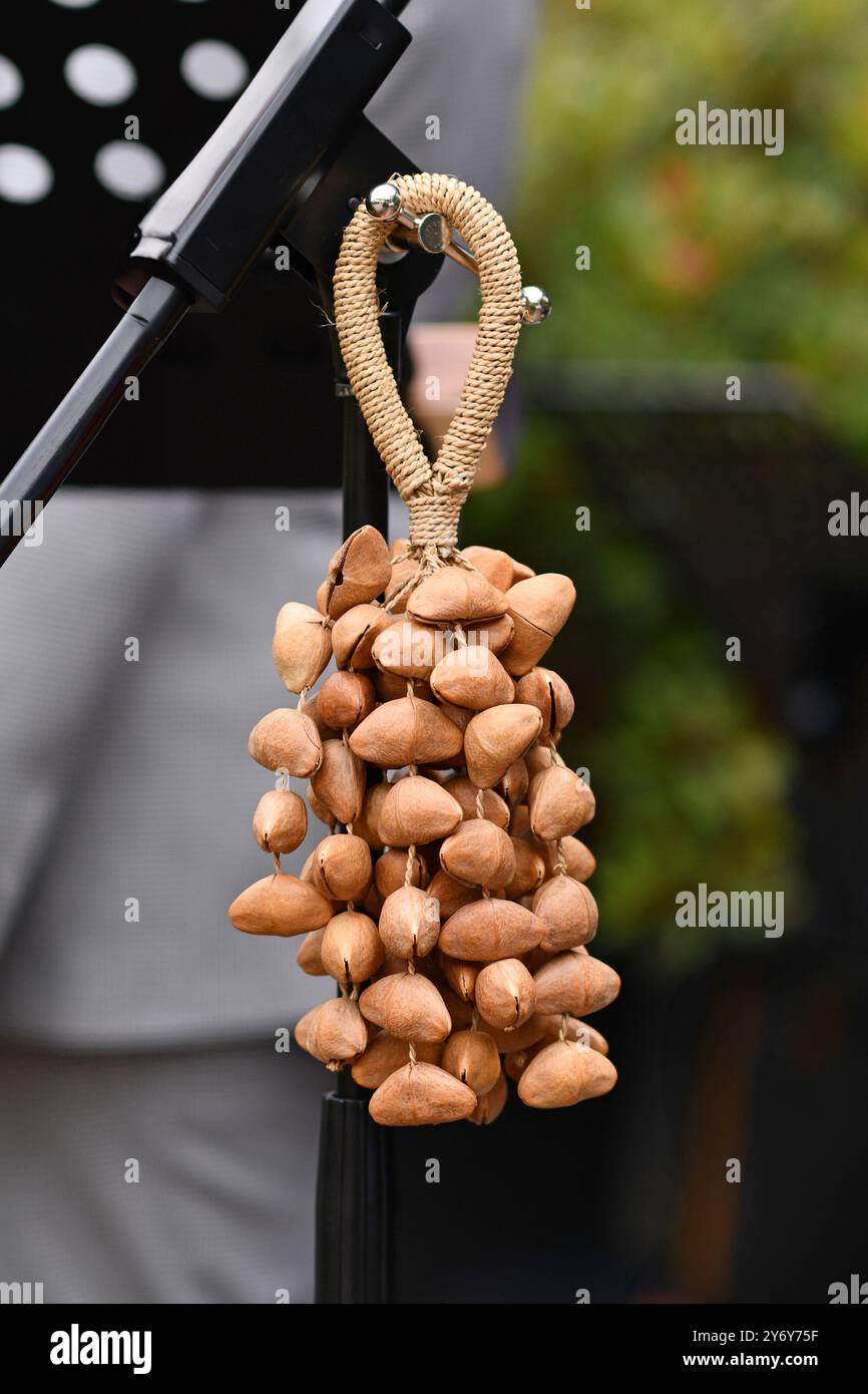 Kenari shaker, a percussion music instrument made from Kenari seed nutshells attached to a wrist strap Stock Photo