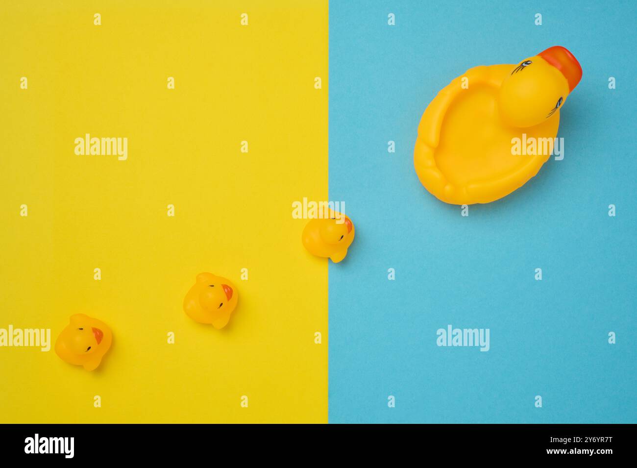 Yellow rubber ducks on a blue background, children's toy, top view ...
