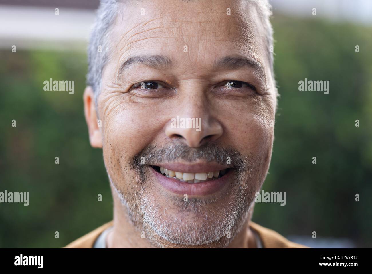 Senior man gray hair beard hi-res stock photography and images - Alamy