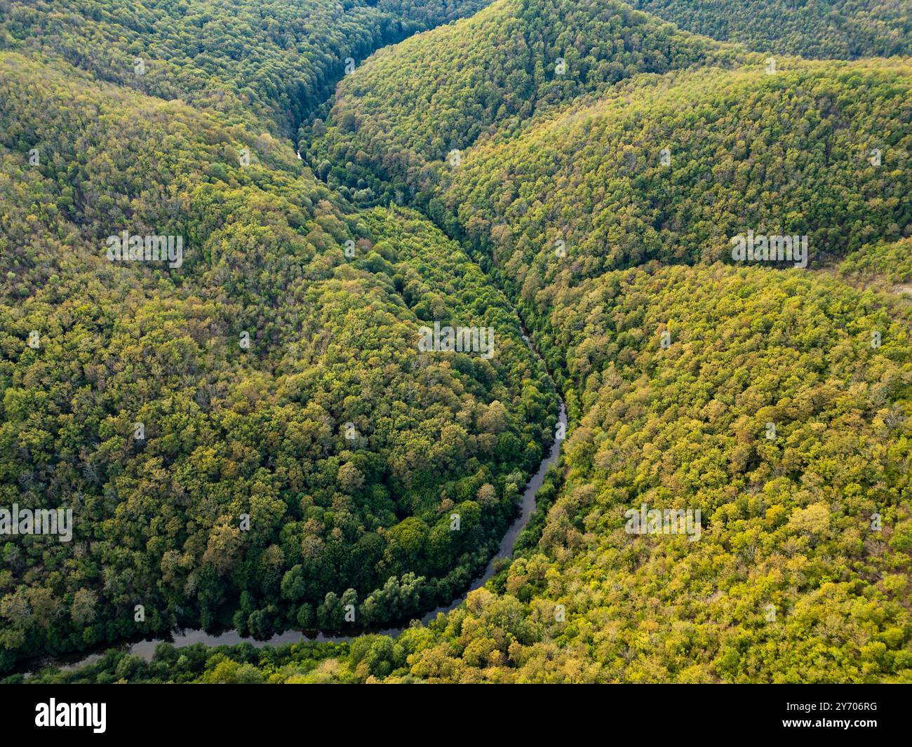 Aerial video dense green forest hi-res stock photography and images - Alamy