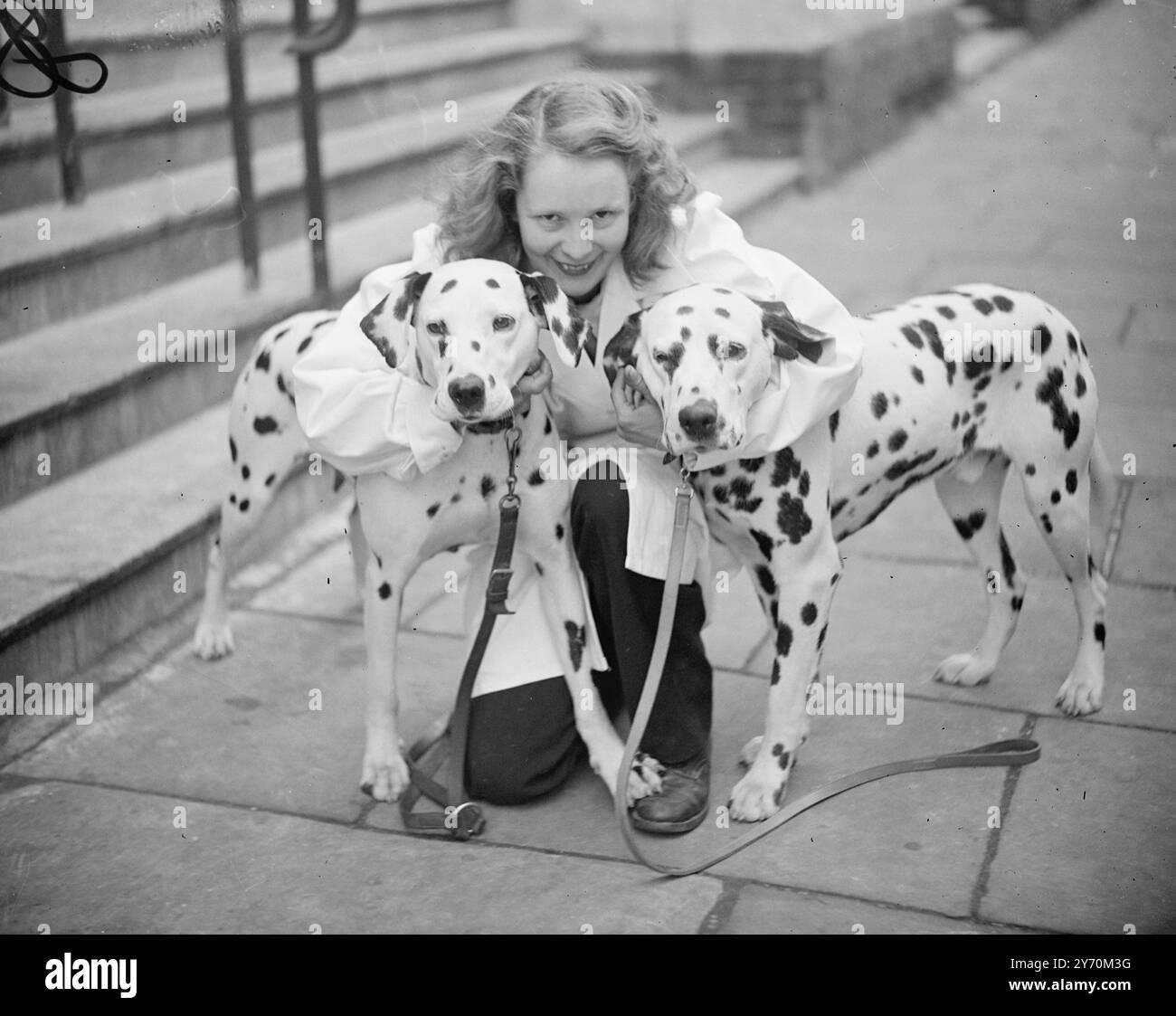 RIGHT ON THE SPOT   Happily free of '' show nerves '' at the Seymour Hall , London - scene of the British Dalmatian Club's Championship show are - Miss EDITH HORNE , a kennel maid , and her charges NCHOLAS OF STARLOCK ( left ) and FRANCESCA OF KYE ,  exhibited by Mrs . A. Templer of Fulbourne Manor  near Cambridge .     6 April 1949 Stock Photo