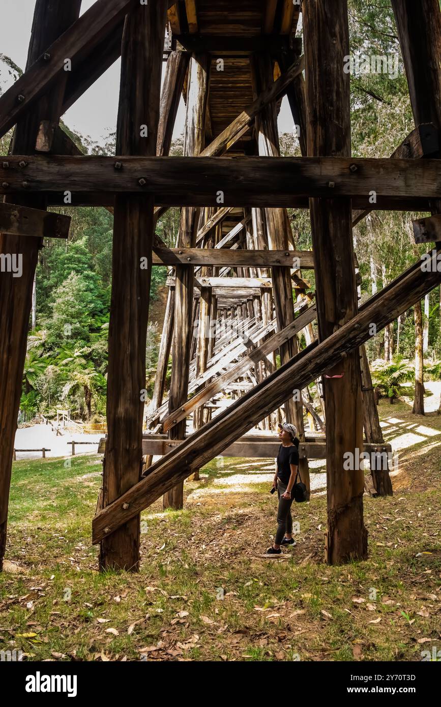 Low angle view of Noojee Trestle Bridge with a female hiker in sight, in Victoria, Australia Stock Photo