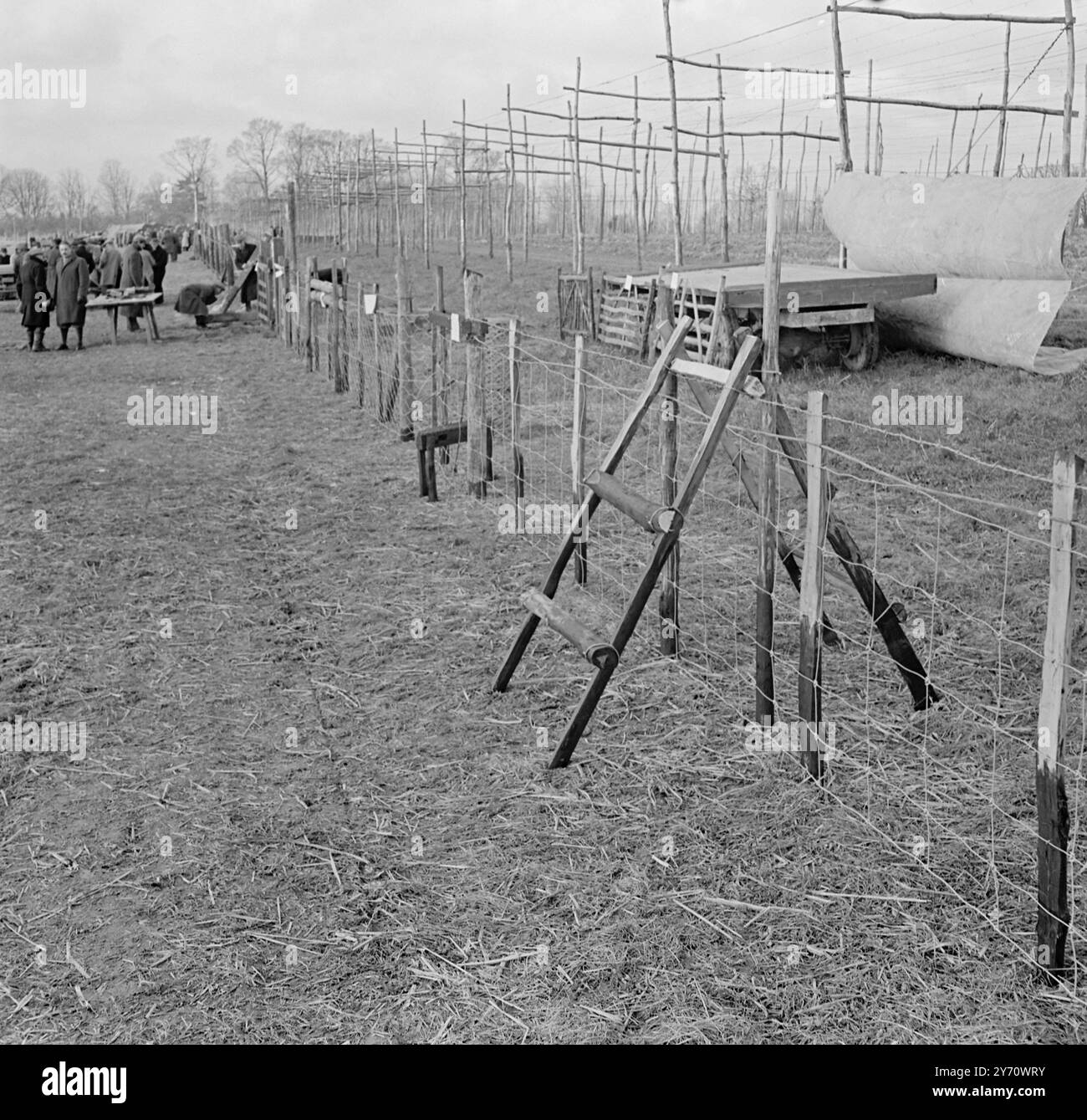 Hop wiring Demonstration at Henton 1 January 1947 Stock Photo - Alamy