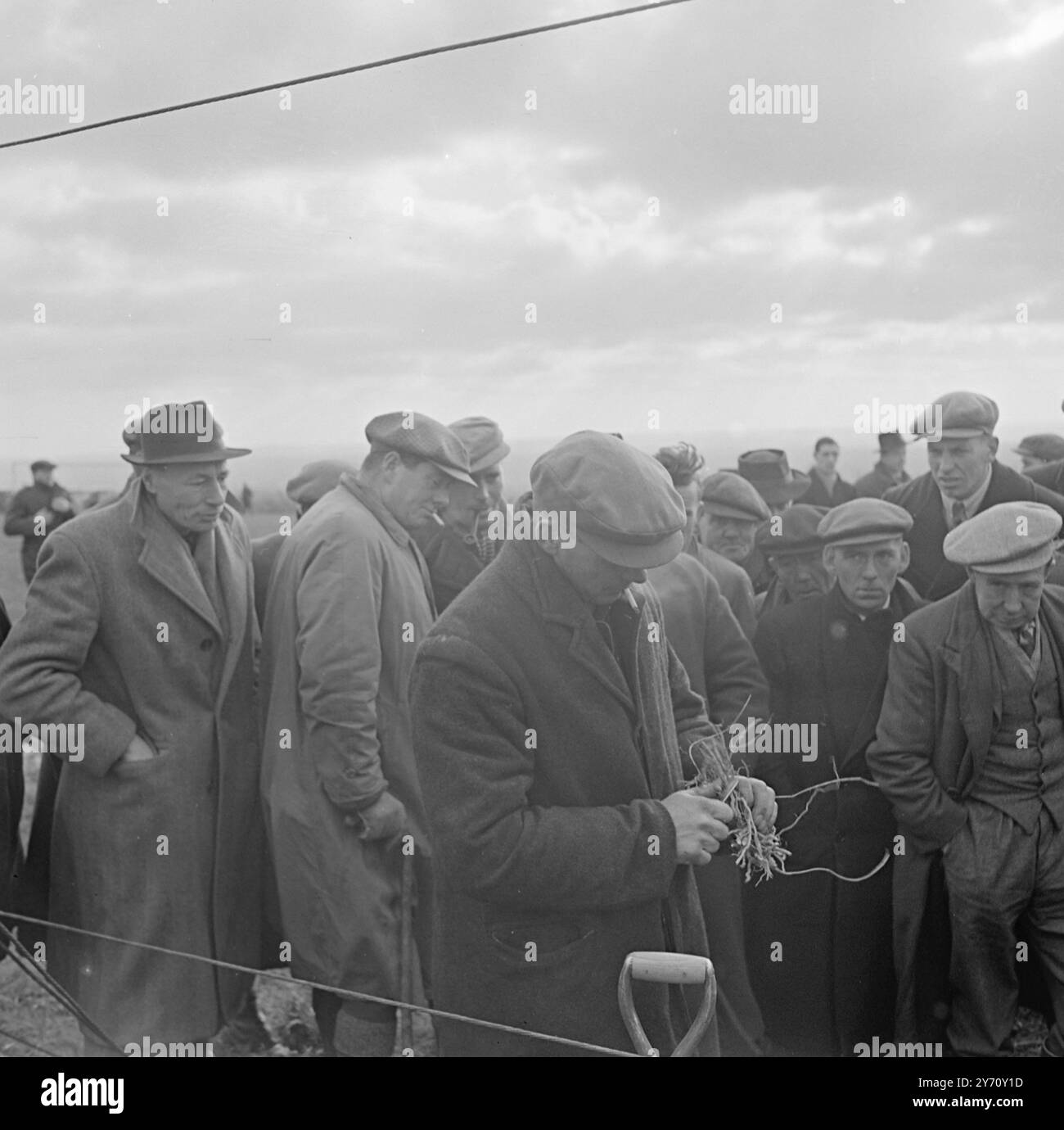 Hop wiring Demonstration at Henton 1 January 1947 Stock Photo - Alamy