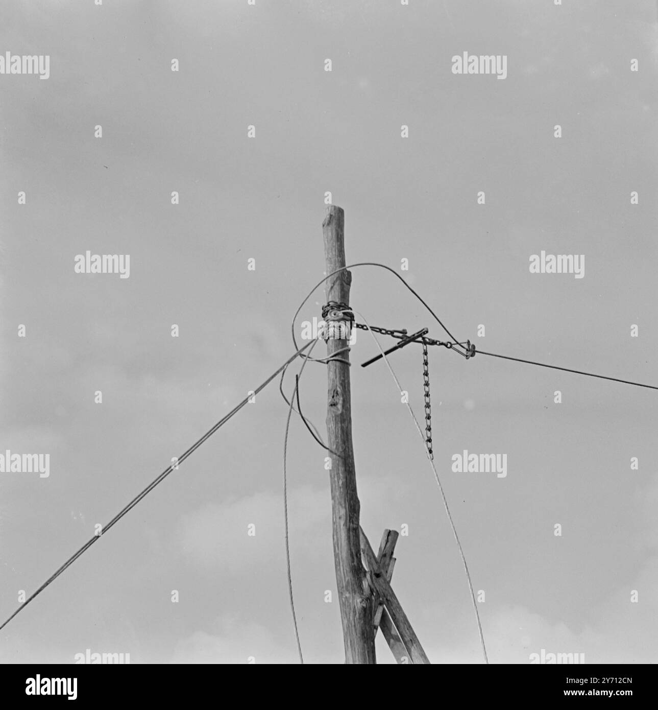 Hop wiring Demonstration at Henton 1 January 1947 Stock Photo - Alamy