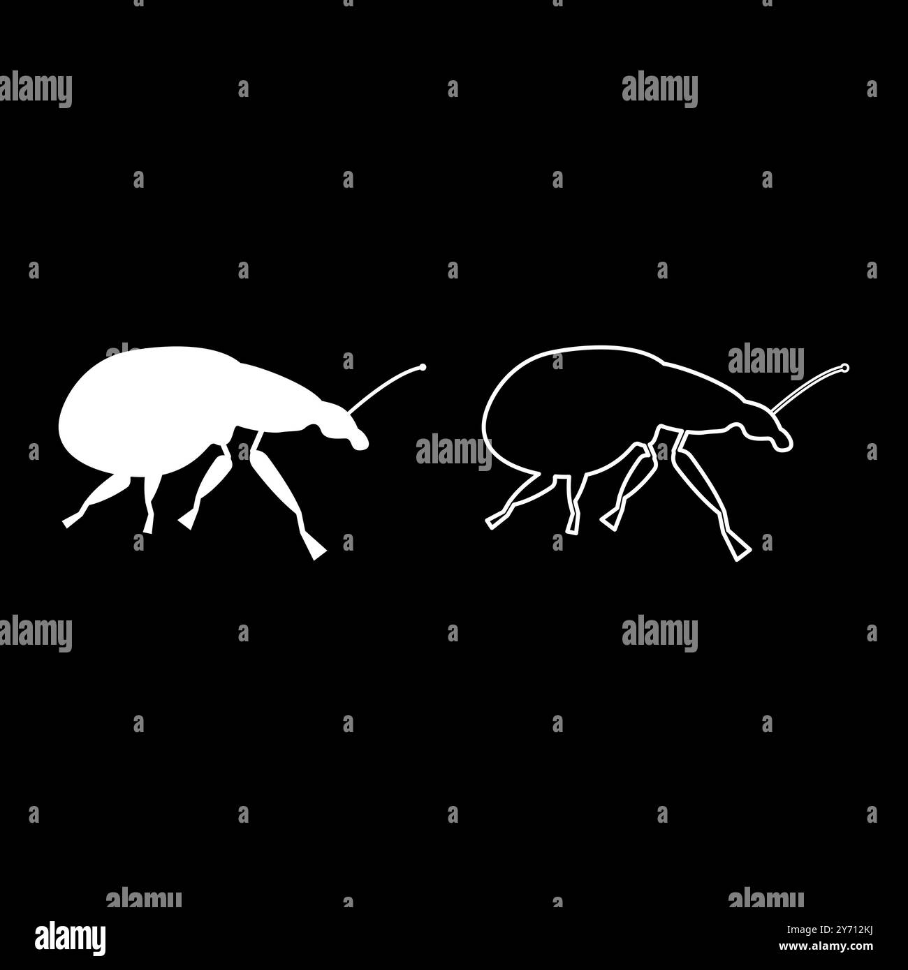 Weevil insect pest set icon white color vector illustration image simple solid fill outline contour line thin flat style Stock Vector