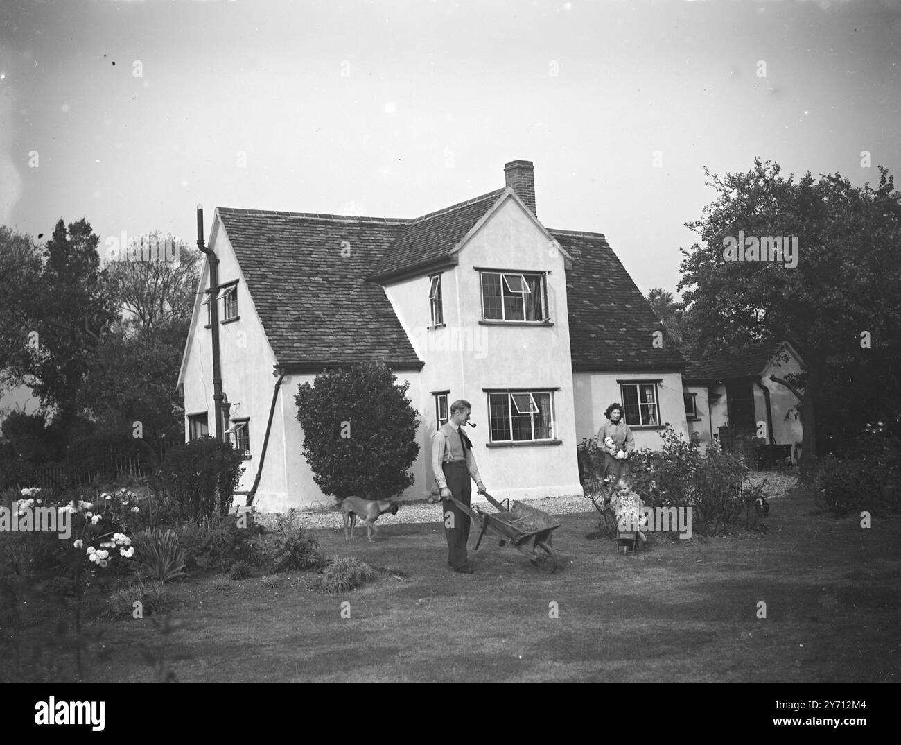 Began Breeding Black And White Stock Photos Images Alamy began-breeding-black-and-white-stock-photos-images-alamy