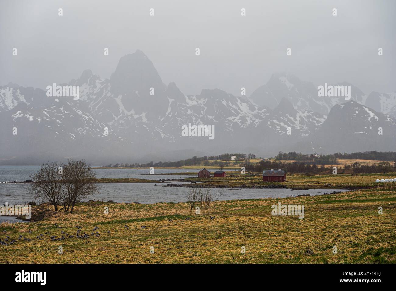 nature sceneries inside the Vesteralen Islands, Norway Stock Photo - Alamy