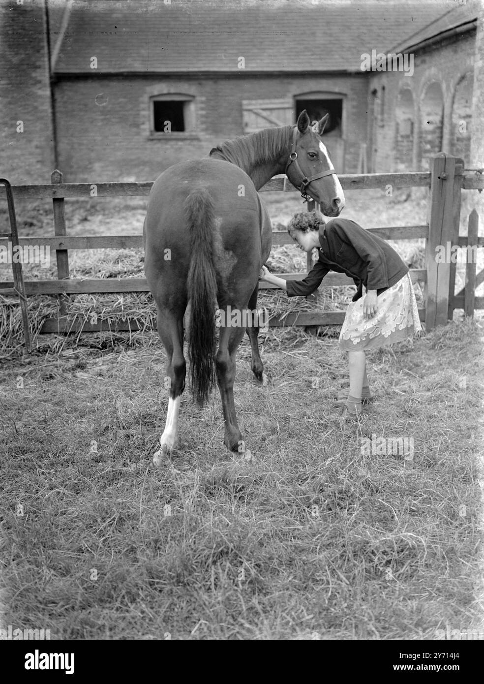 Farmers Weekly Magazine Equine Horses & Ponies Europe Tractor Poster Brochure A3 - Foto 4