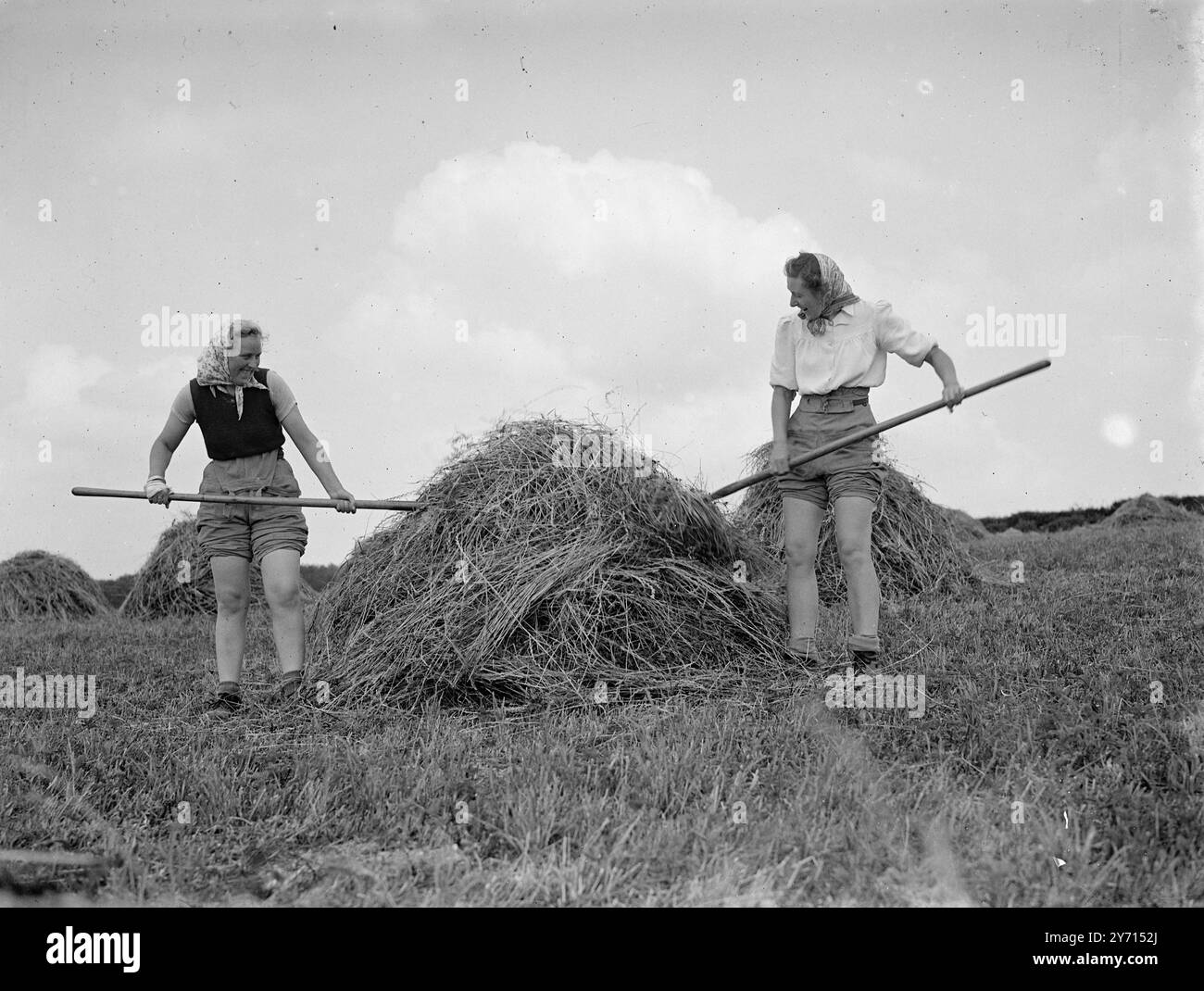 Haymaking - Landgirls .       1 January 1946 Stock Photo