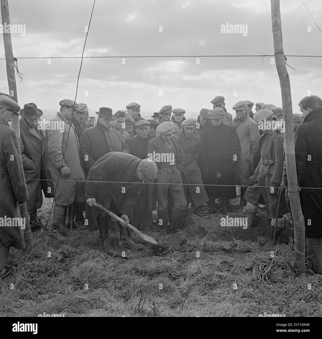 Hop wiring Demonstration at Henton 1 January 1947 Stock Photo - Alamy