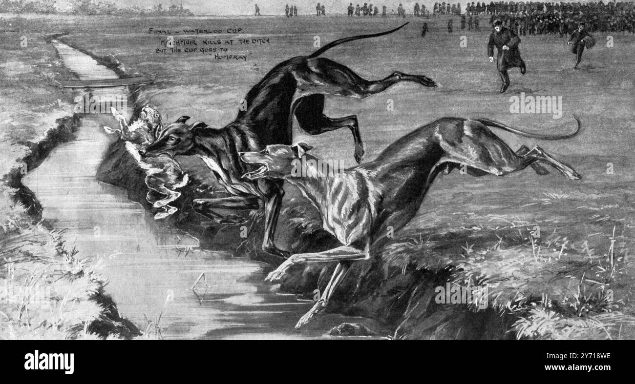 Waterloo cup coursing meeting hi-res stock photography and images - Alamy