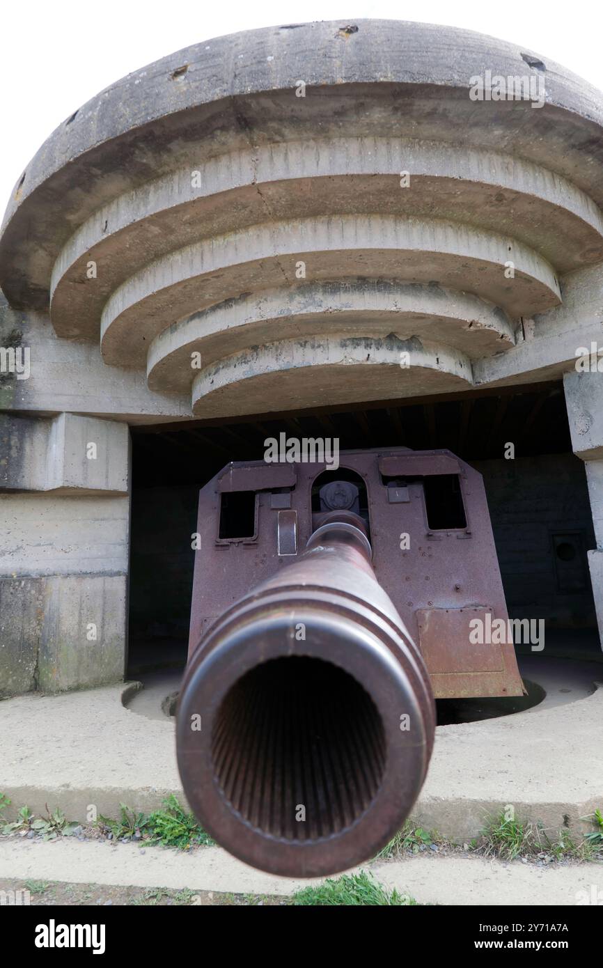 M36 確認画像 36 cm hi-res stock photography and images - Alamy