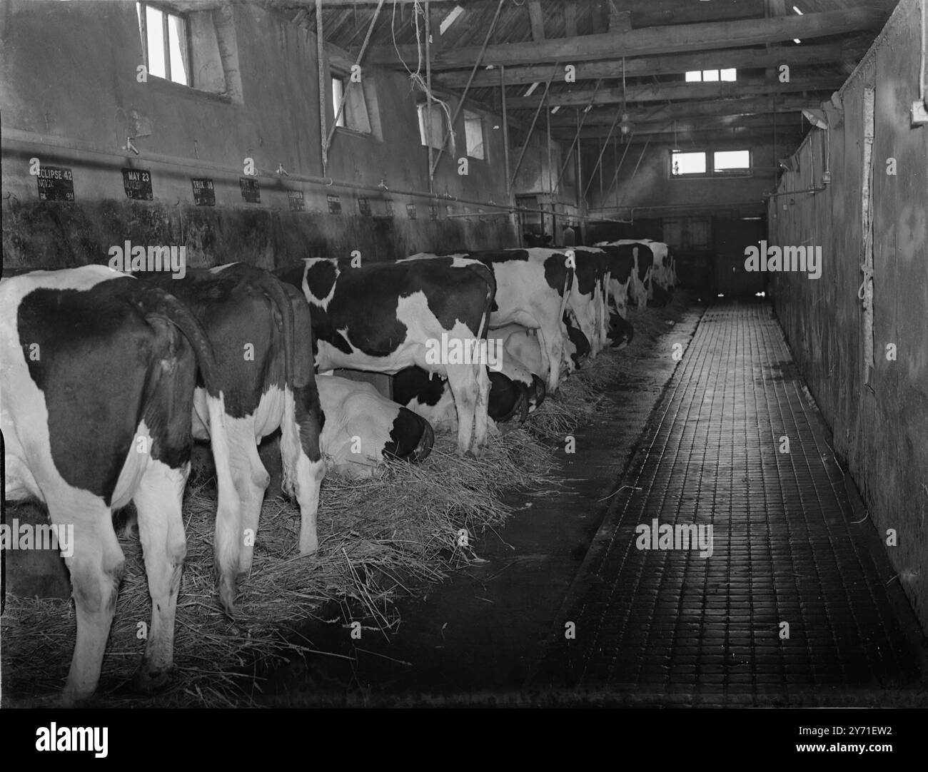 Hiram C. Smith Milking Shed photo 2