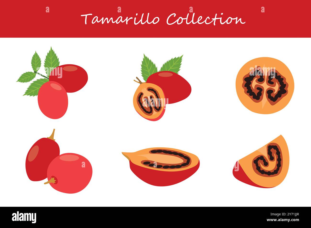 tamarillo collection in different poses. Vector illustration. Stock Vector