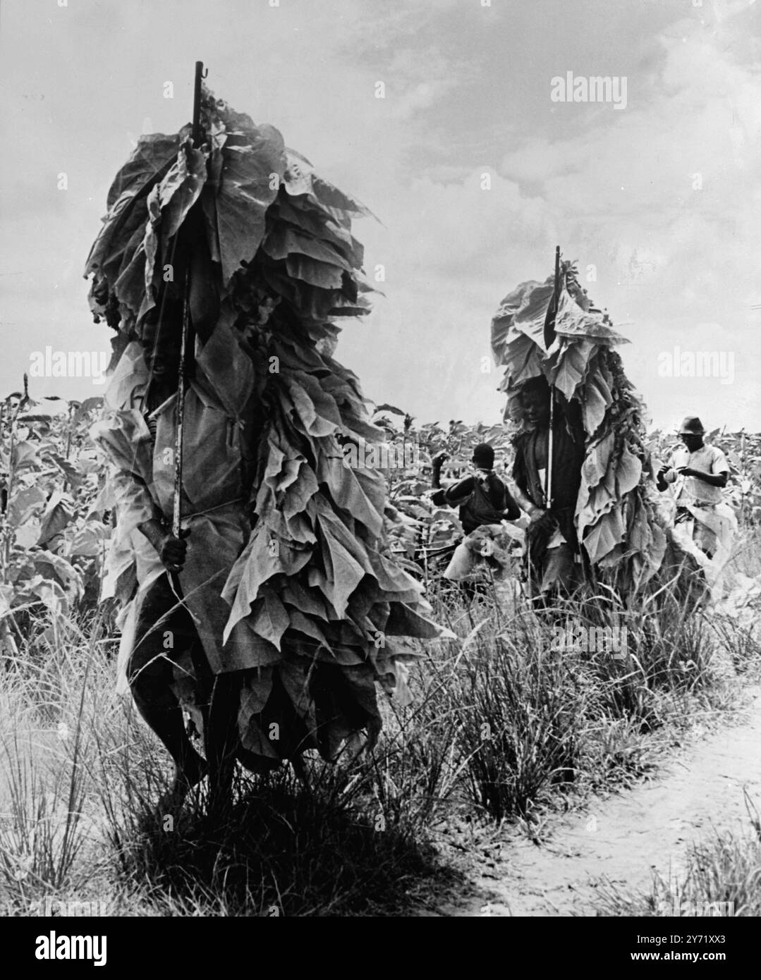 1960s vietnam war us soldiers hi-res stock photography and images - Alamy