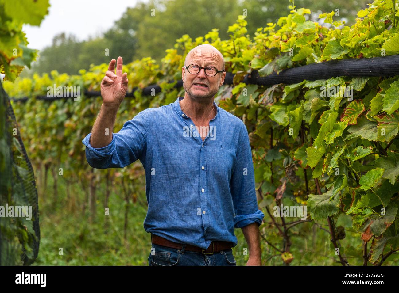 Winemaker Christoph Kühne-Hellmessen runs the Welzin winery on the island of Usedom. Welzin, Usedom-Süd, Mecklenburg-Vorpommern, Germany Stock Photo