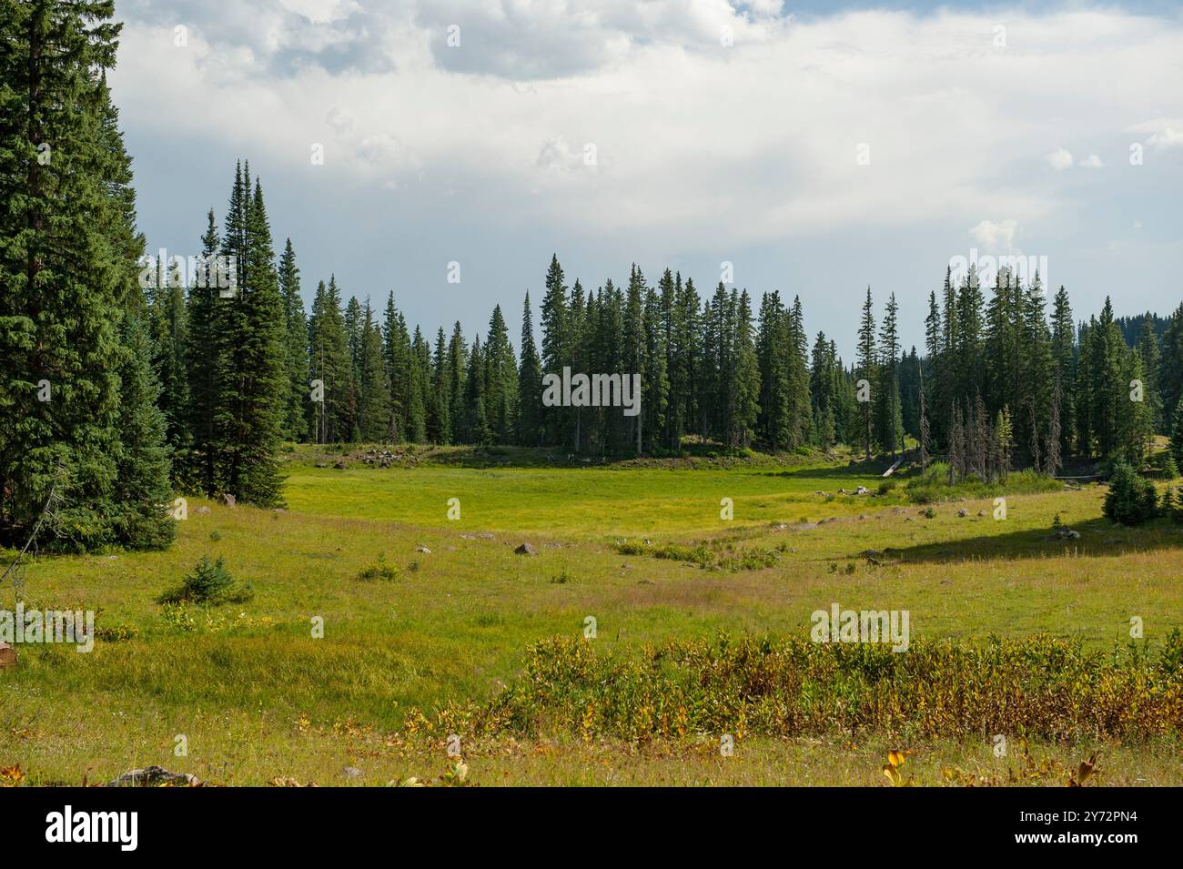 An empty reservoir, probably Skookum Reservior, on Colorado's Grand Mesa Stock Photo