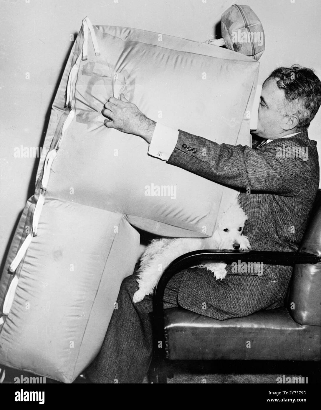 Pioneer aviator Assen Jordanoff demonstrates the pneumatic safety cushion which he designed to reduce injuries in survival airplane crashes and forced landings .  A French poodle is used  to demonstrate how a child on a parent's lap would be protected from the impact of a crash landing or ditching at sea .  The  device is a big rubberized bag which can ge stored, deflated  , on the rear of airliner seats .  By pressing a single button  in his cushion , the pilot can inflate every cushion  on his aircraft in three seconds .  The inflated cushion , resembling an inverted 'L' is contoured to fill Stock Photo