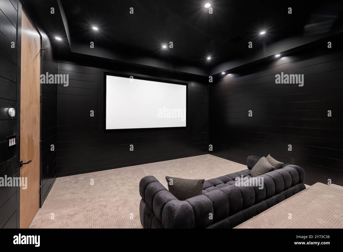 Curated visual reference: Visual Reference: Modern Home Theater Room With Black Walls Large Screen And