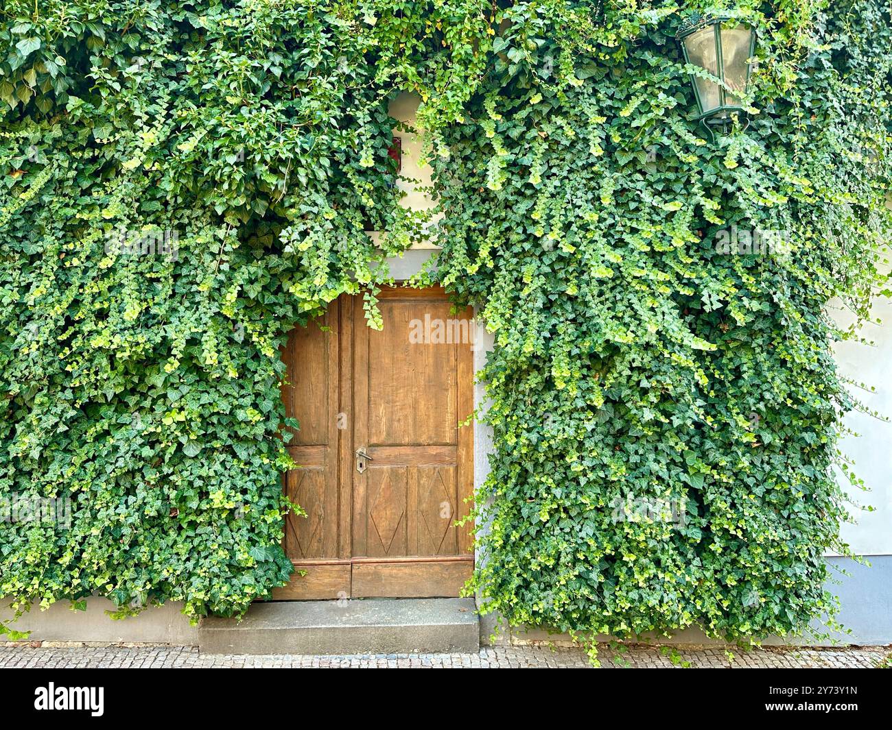 The photograph captures a detailed view of an old medieval gate made of wood and metal, set in the streets of a historic European city. - Smartphone Captured Stock Image