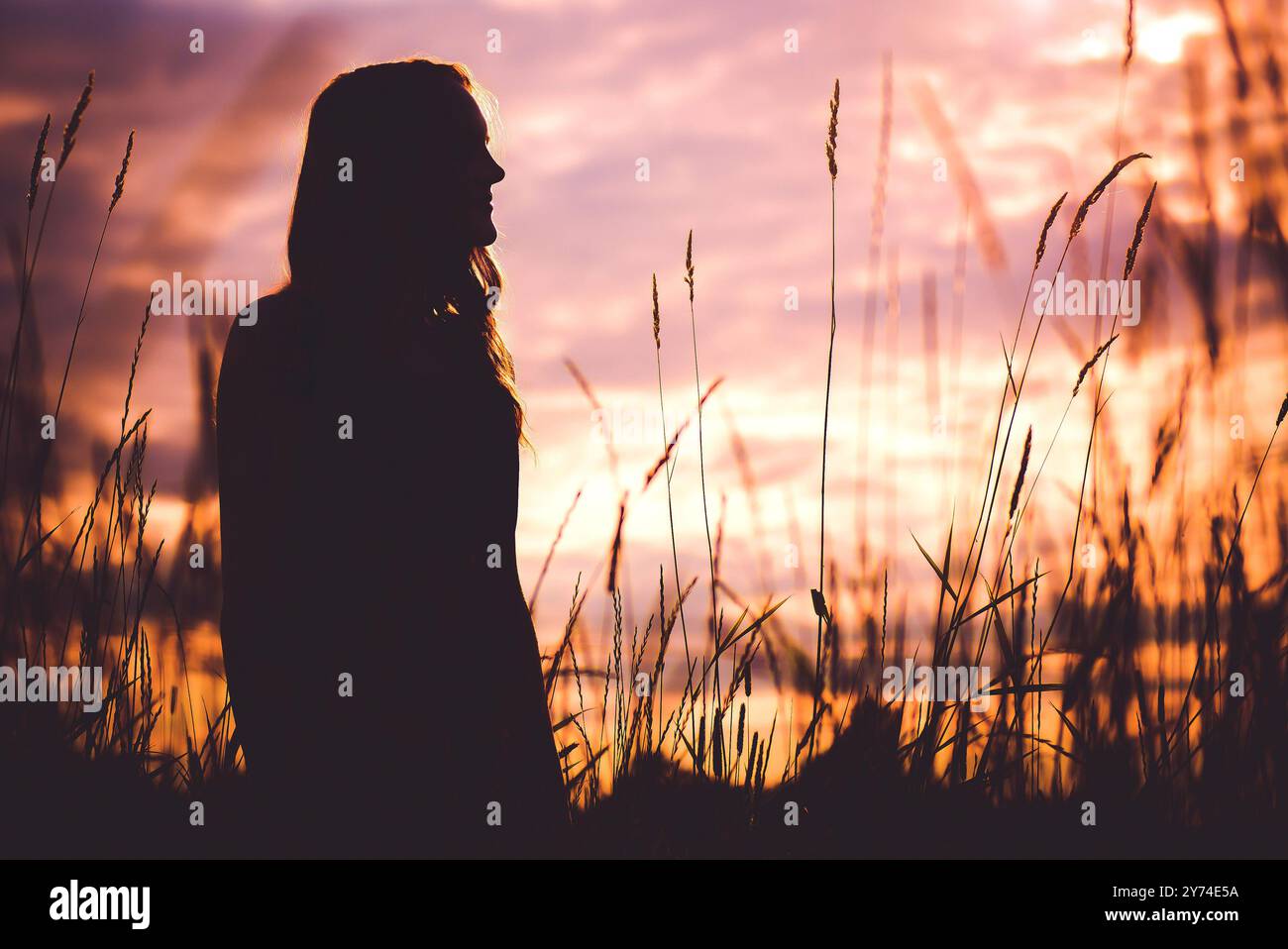 Silhouette photography of a young woman standing in a field of tall ...