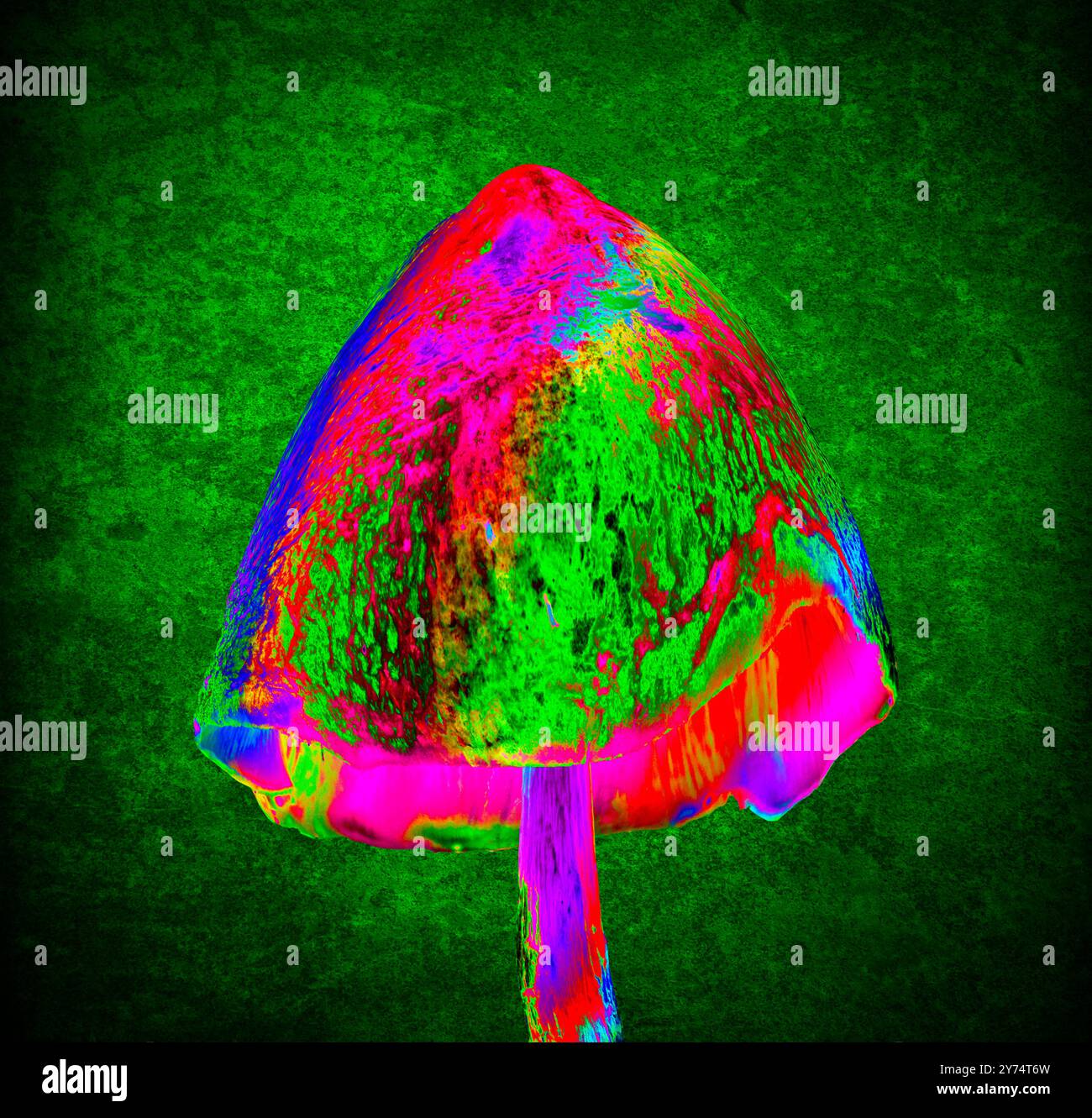 Conceptual illustration of a magic mushroom a hallucinogenic mushroom Conceptual illustration of a magic mushroom a hallucinogenic mushroom