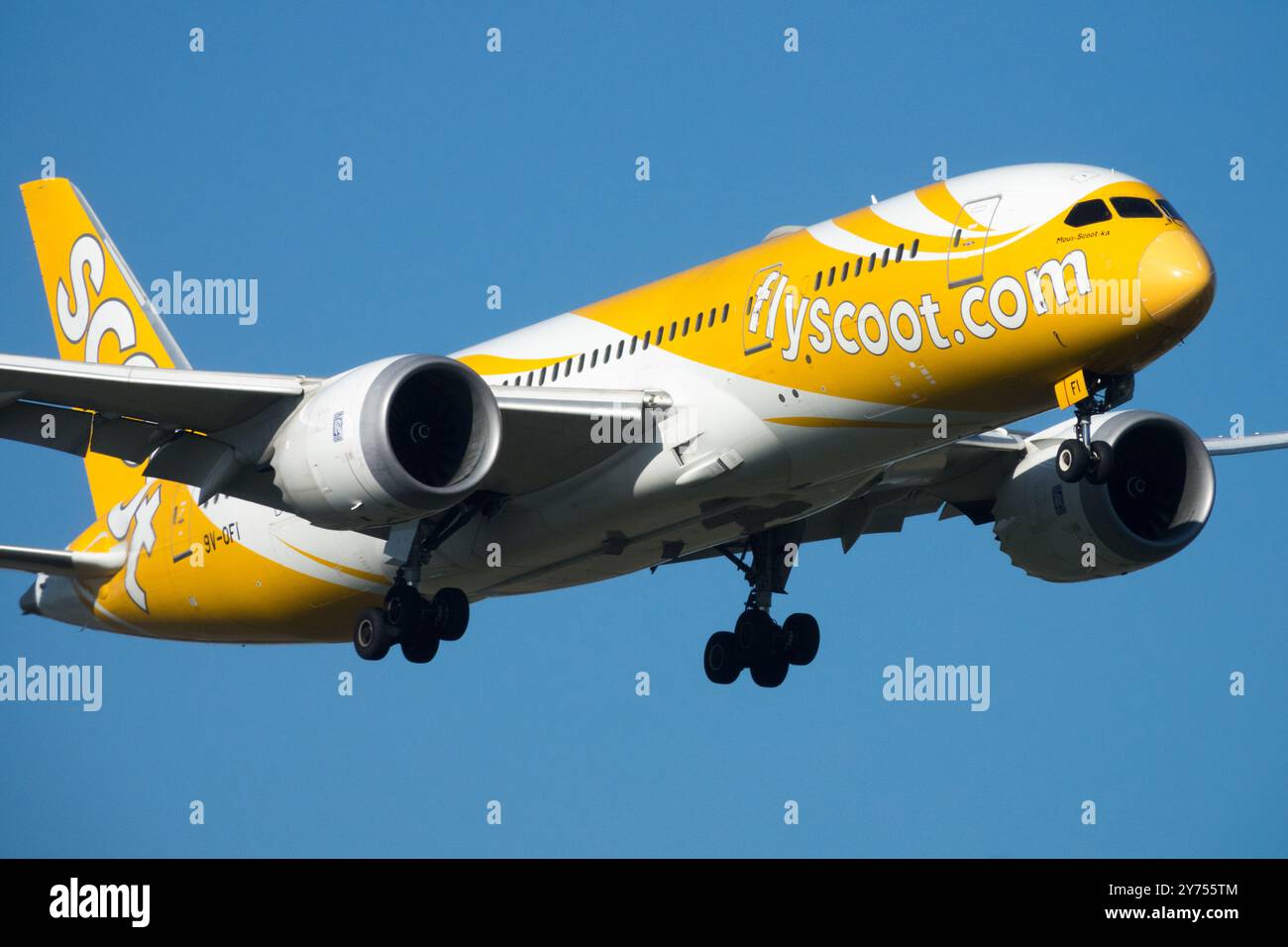 Boeing 787-8 Dreamliner Scoot Airlines Plane Aircraft Airplane Jetliner Commercial Passenger Jet Airliner, Landing Approaching Flight Stock Photo