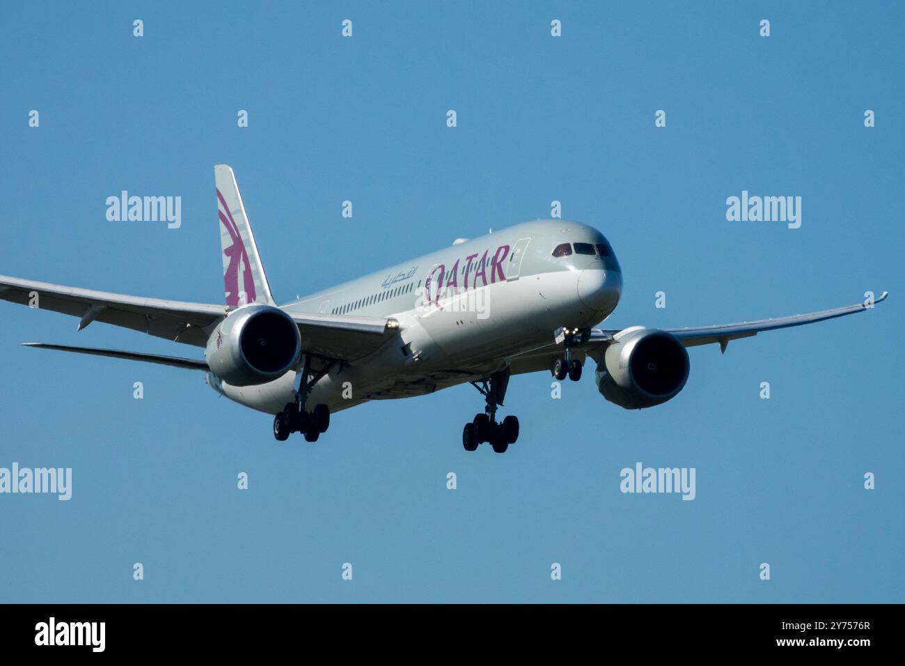 Landing Boeing 787-9 Dreamliner Plane operated Qatar Airways Airline Aircraft Airplane Aeroplane Jetliner Passenger Jet Airliner Approach Commercial Stock Photo