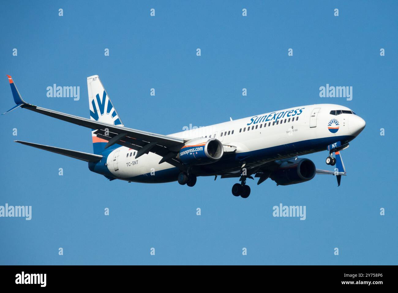 B737-700(C-40) アメリカ空軍 完成モデル/木製スタンド付属 (完成品飛行機) - ホビーサーチ 飛行機他完成品