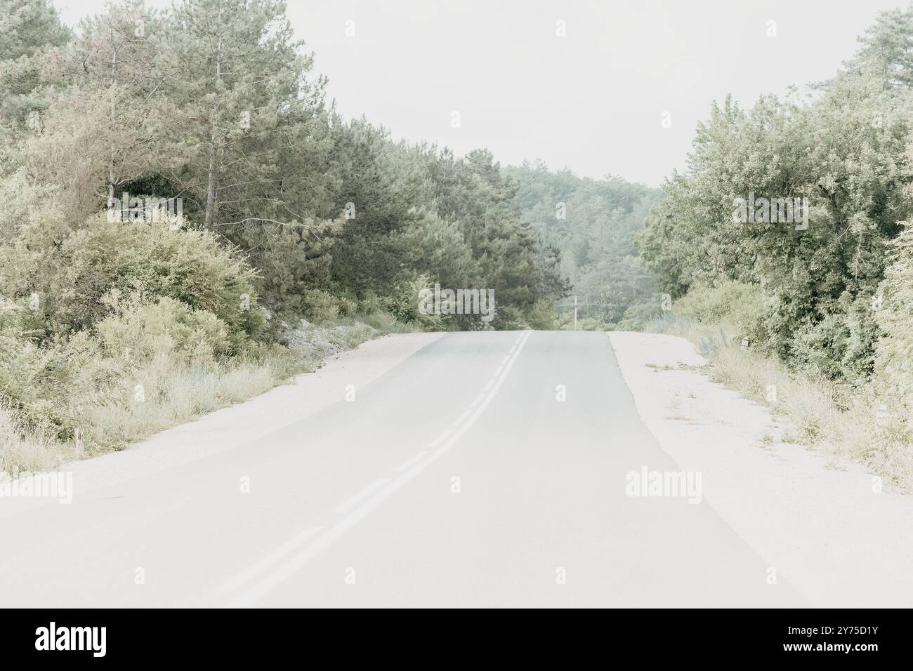 Paved path winding through forest hi-res stock photography and images ...