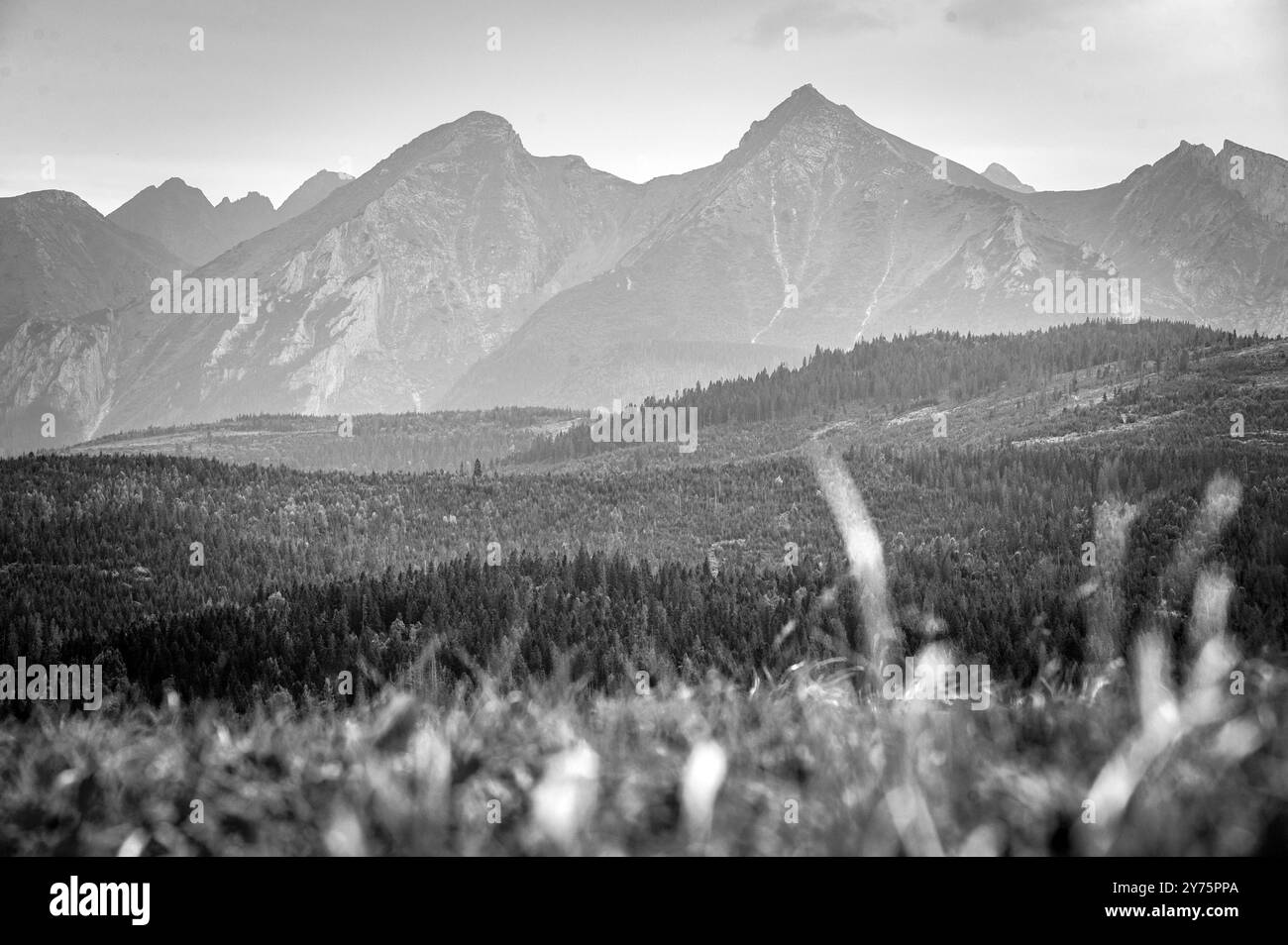 Wild natural terrain Black and White Stock Photos & Images - Alamy