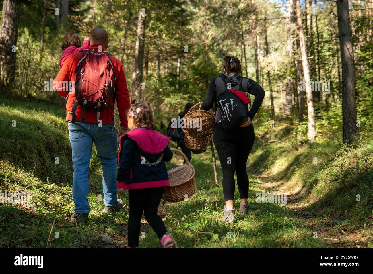 the-mushroom-season-has-started-in-catalonia-in-an-exuberant-way