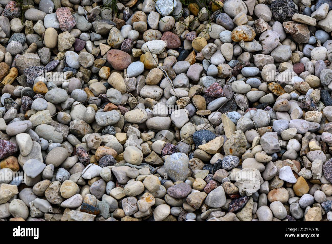 Gravel pattern of colored stones with shell Stock Photo - Alamy