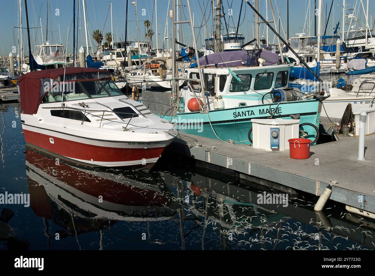 The Silent Die-Off on California Beaches