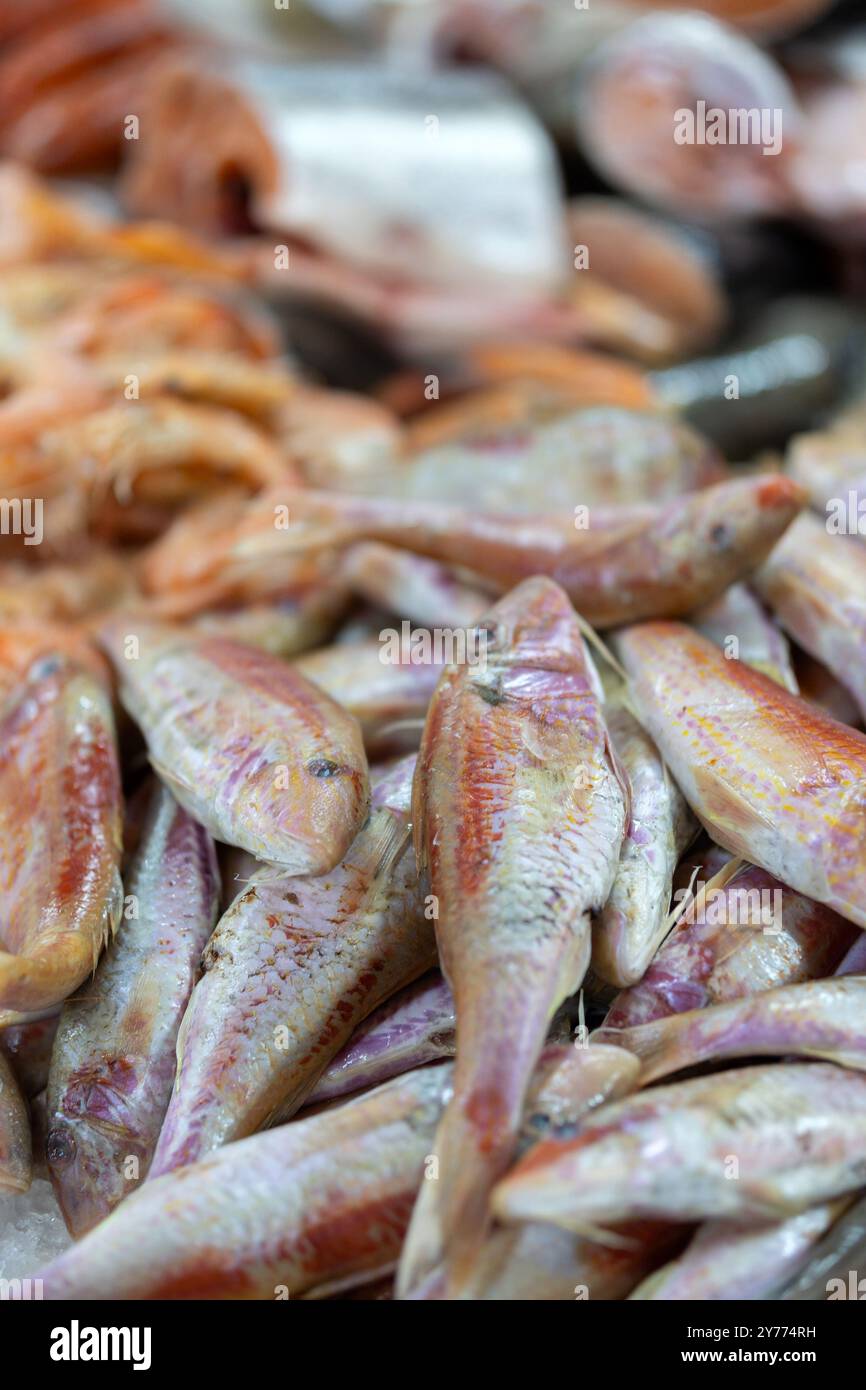 Small fish are sold at the fish market Stock Photo - Alamy