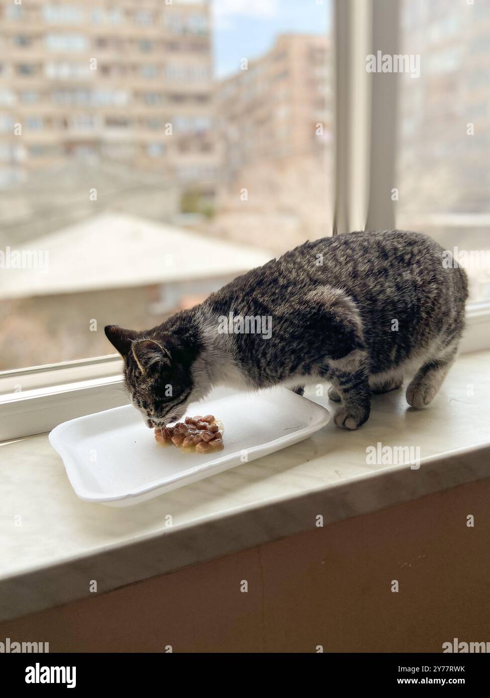 Soft focus scene bustling hi-res stock photography and images - Alamy