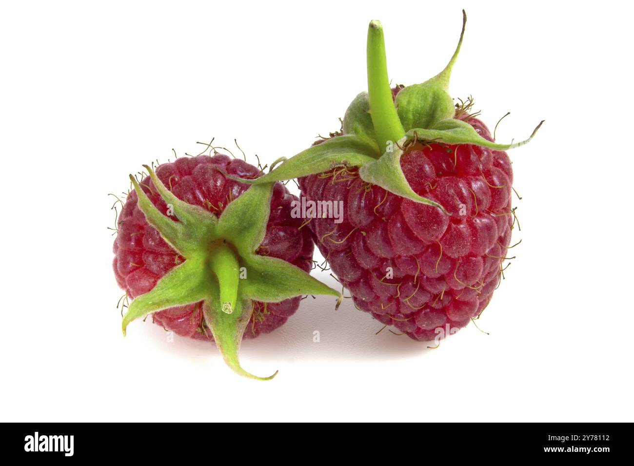 Two raspberries isolated on white background close-up Stock Photo