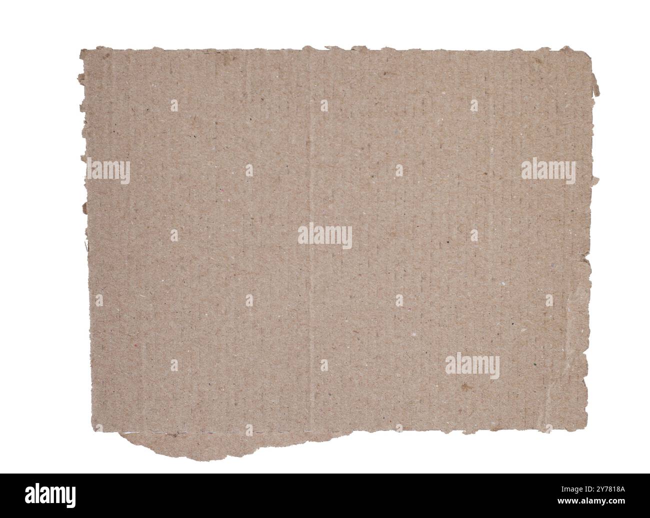 Corrugated kraft cardboard. A piece of torn cardboard isolated on a white background Stock Photo