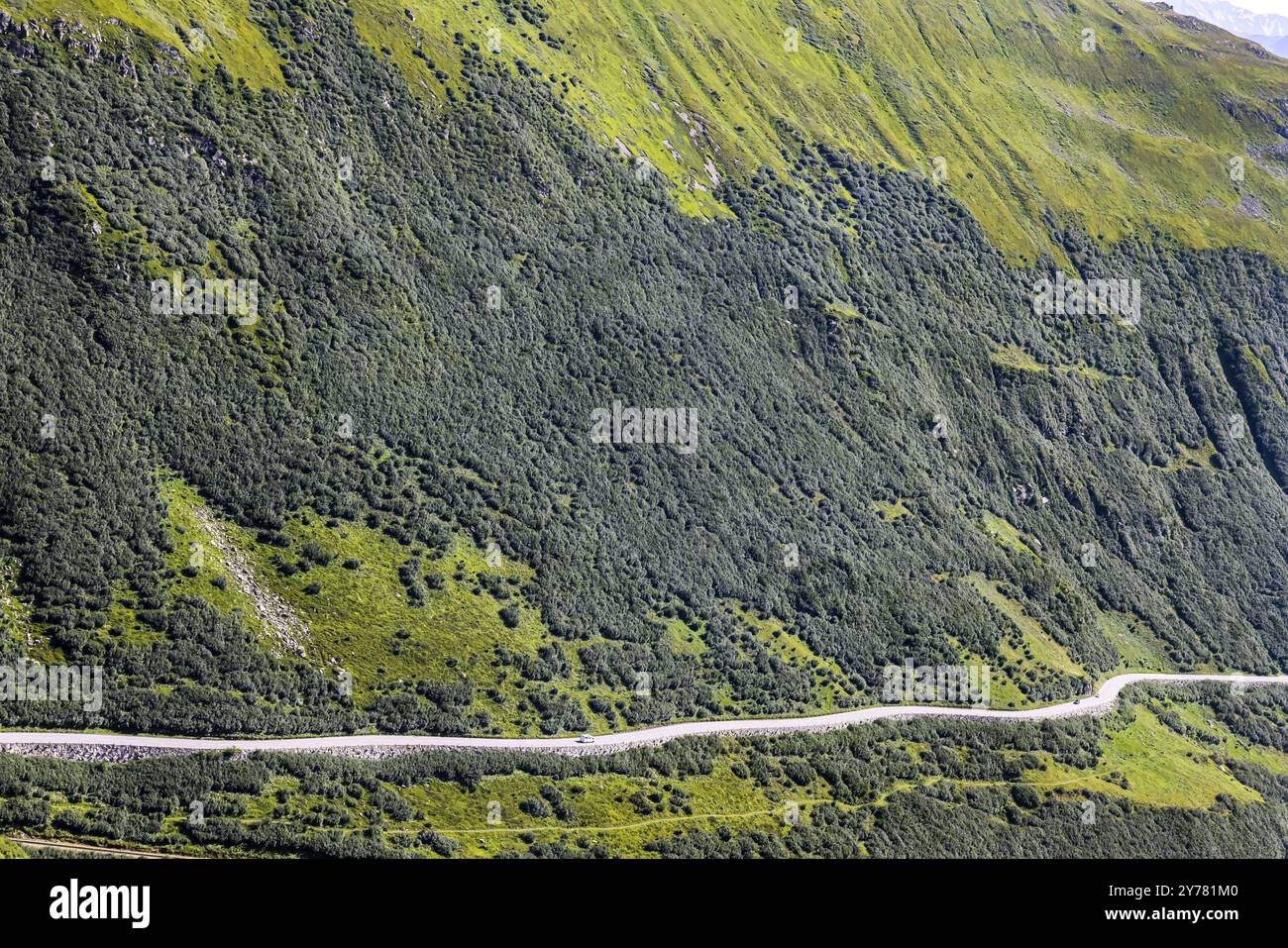 Mountain above tree line hi-res stock photography and images - Alamy